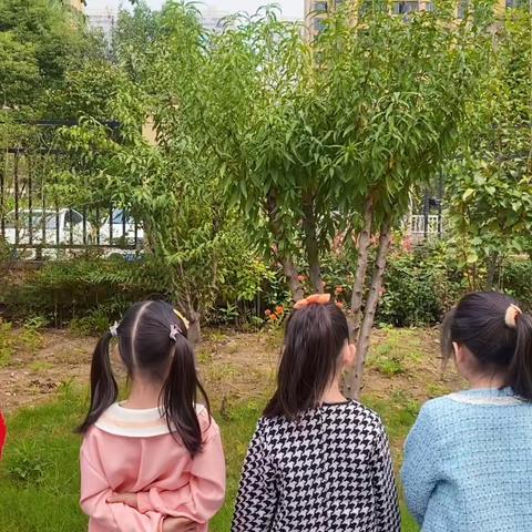 九坊幼儿园 大四班———秋天里的小美好