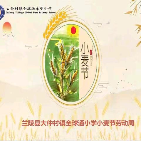 【强镇筑基在行动 】 芒种时分 | 风吹麦穗香，劳动助成长  ———大仲村全球通希望小学“小麦节”劳动周纪实