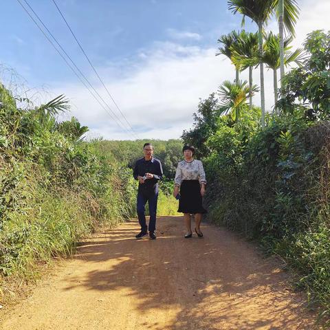 【我为群众办实事】南田居未硬板化路段得到有效修复，居民重获安全出行环境