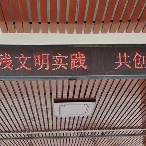 别样体验，爱心助残——向阳中心小学助残日活动