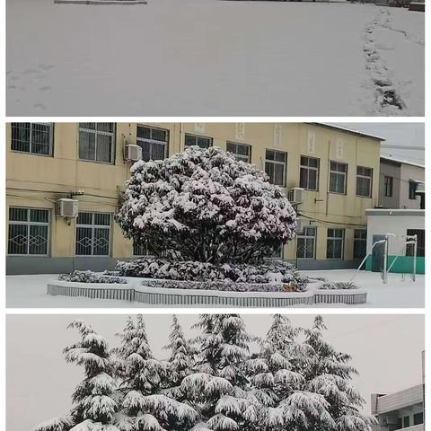 铲雪除冰暖人心，爱满校园现真情一一一高平小学老师家长齐上阵，不畏寒冬铲雪忙