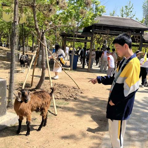 研有所思，学有所获——记诸城市特殊教育学校研学活动