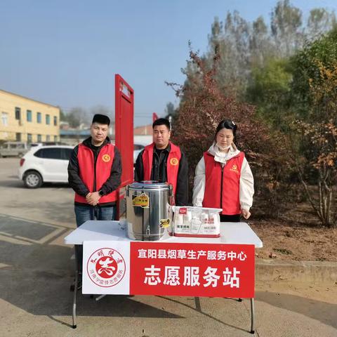 烟叶收购不停  服务烟农常有 烟服中心开展烟叶收购服务烟农志愿活动