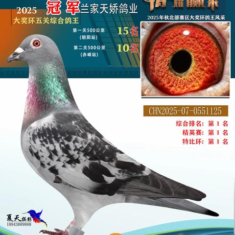 25年秋唐氏赛鸽俱乐部北部赛区获奖鸽1-55名