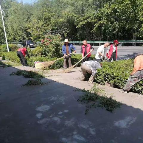 整治农村人居环境，建设美丽宜居乡村