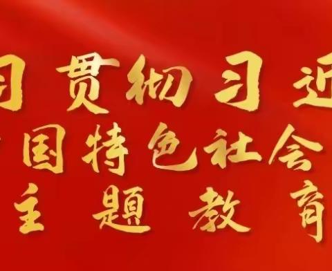 中共廉江市石角镇横石小学党支部主题教育活动