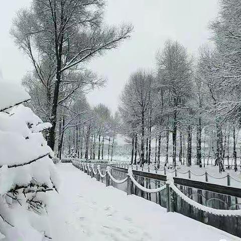 久旱春雪逢甘露