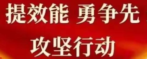 鸿渐村联合龙池片区各个村居开展6月份安全月宣传活动