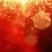 【鸿渐村】全力以赴抗台风“杜苏芮”