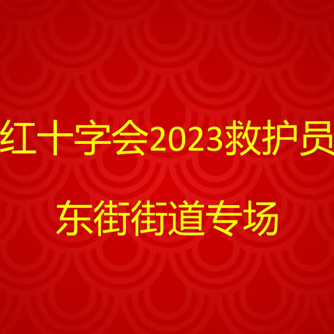 东街街道开展救护员培训活动