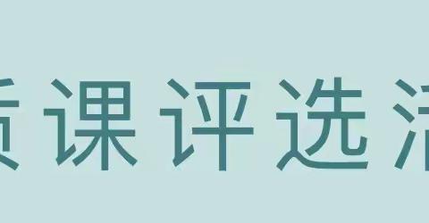 六盘水市水城区杨梅乡2023年秋季学期员额制教师语言领域优质课评选观摩交流活动