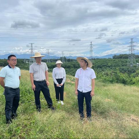 文罗镇镇长傅川深入文英村开展屠宰场项目征地指导工作