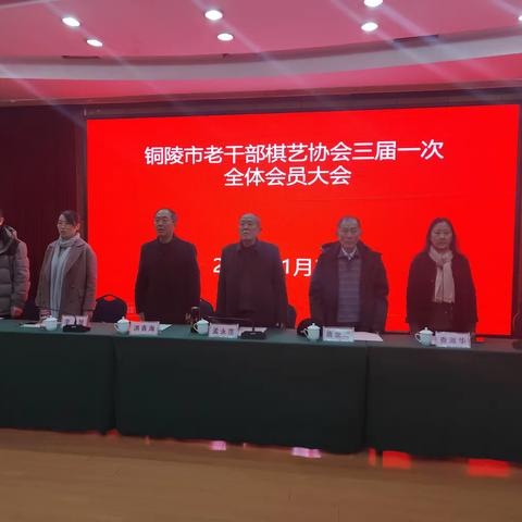 铜陵市老干部棋艺协会换届大会召开