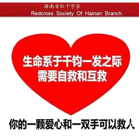 2024年“爱心相伴，救在身边”海南省红十字救援大队海口分队救护培训进企业：三亚电信