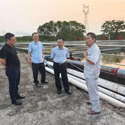 金橡公司总经理蔡笃坤一行人莅临金兴分公司开展现场管理考察指导