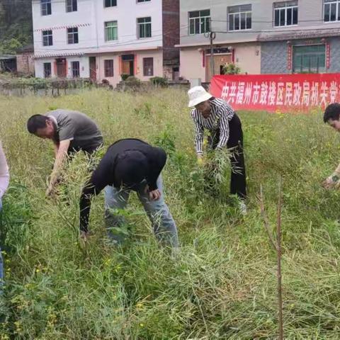 鼓楼区民政局机关党支部开展“我在闽清有亩田”主题党日活动