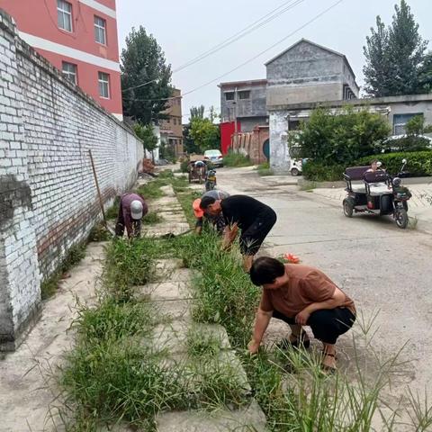 刘庄村为迎接卫生城市复审工作全力做好准备