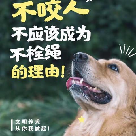 文明养犬，从你我做起