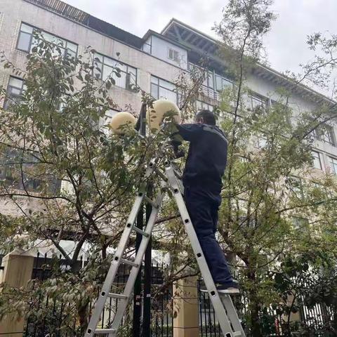 更换路灯添光明，照亮小区暖人心