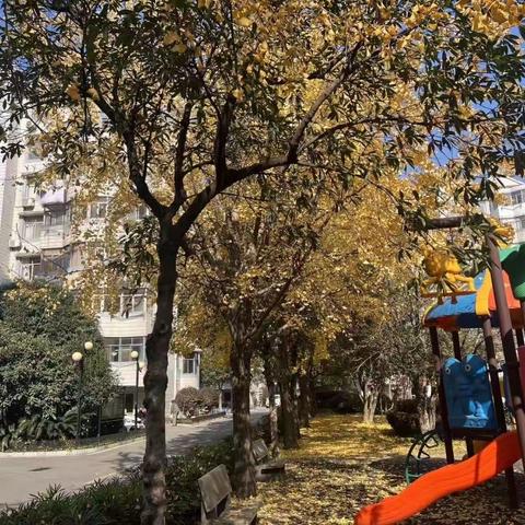 市城彩物业2023年11月份工作汇报