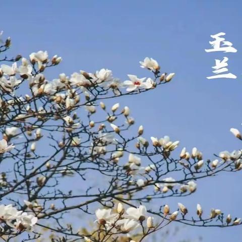 市城彩物业2024年3月份工作汇报