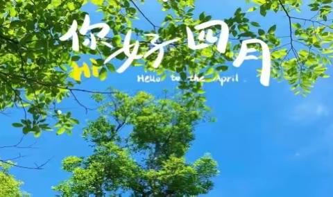 市城彩物业2024年4月份工作汇报
