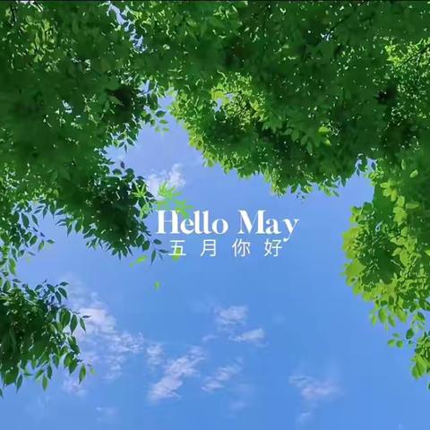 市城彩物业2024年5月份工作汇报