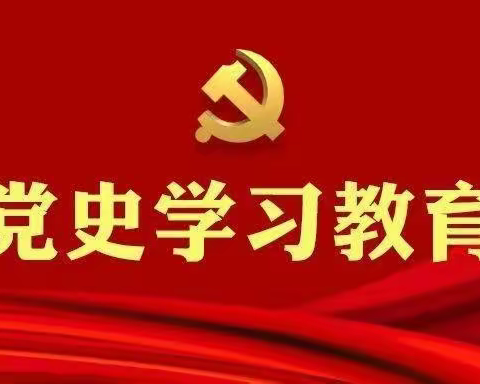 加强党史学习  潜心教书育人 ———许昌新区实验学校红船党支部主题党日活动