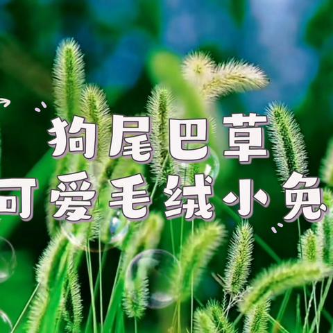 京师幼学鲁商中心园🌱豆豆一班 一周小美好🌻