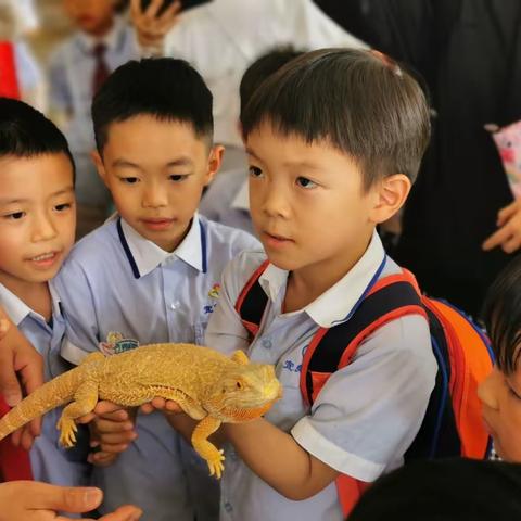 宜良一幼大十五班🕖“转动时空”👪亲子探秘研学记