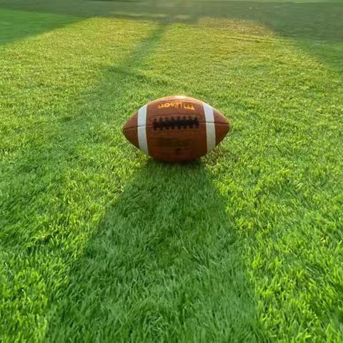 青橄榄体育夏令营