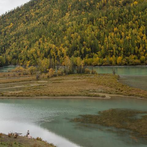 喀纳斯景区的卧龙湾、月亮湾和神仙湾