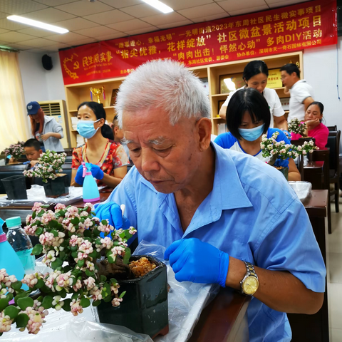 植此春色 多肉盆栽进社区