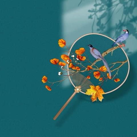 炎炎夏日 浓浓情怀——武阳中学704班护夕阳小队实践活动