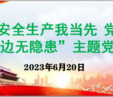 商贸经营部党总支开展“安全生产我当先 党员身边无隐患”主题党日活动