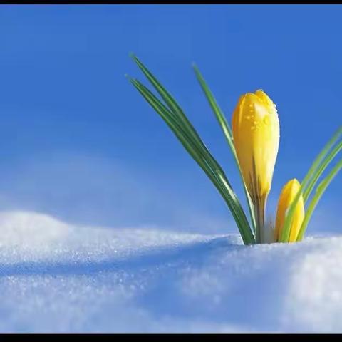 凝心聚力，扬帆起航——蓝天希望小学优化布局调整暨师德师风培训会议纪实