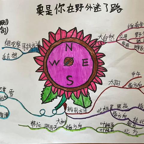 《要是你在野外迷了路》教学反思