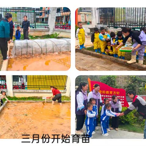粤桂情相连 水稻云相约