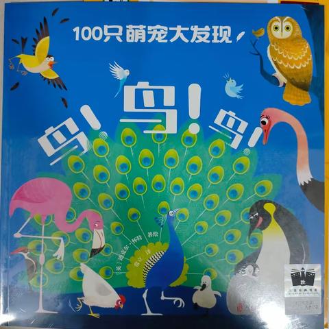 有趣的鸟儿   可爱的我们————九江市湖滨小学一年级24班第55期百千共读《鸟！鸟！鸟！》