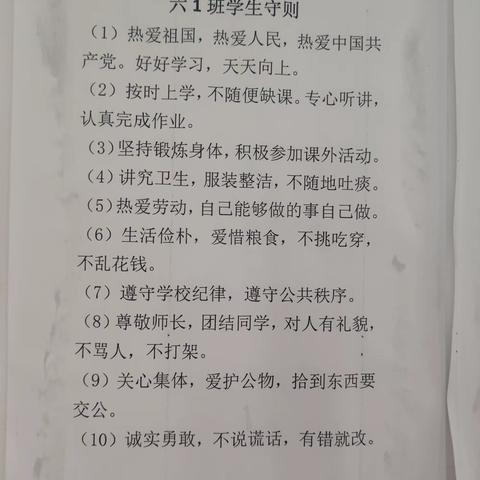 积微成著，笃行不怠——徐古街中心小学六1班工作小结