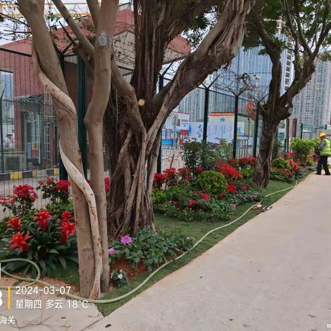 合理利用，建设美好“家园”