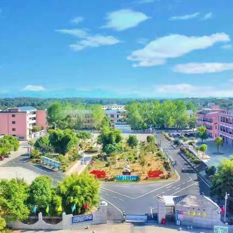 聚焦信息科技课堂，共促教学质量提升