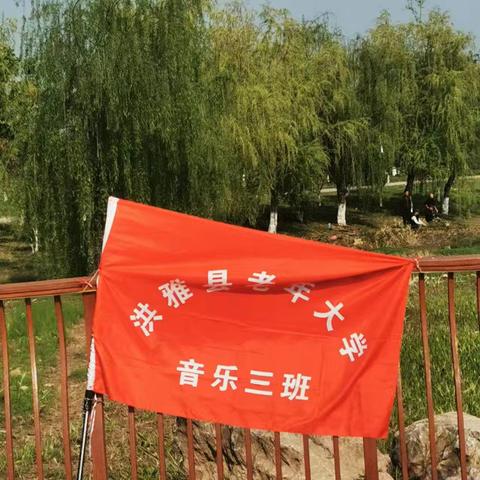 歌声里的春天：音乐三班湿地公园的青春交响
