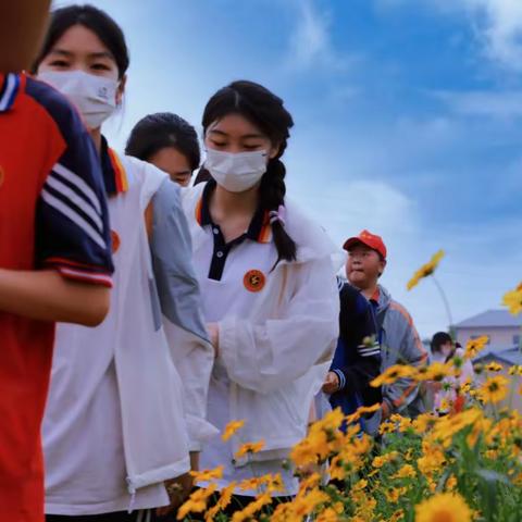 洛阳市东方第二中学“百草园里识草药 田间地头做标兵”研学活动记实录