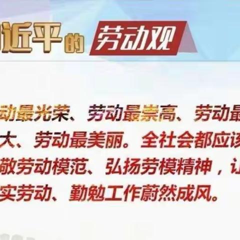 以“劳”树德，以“劳”育美——六(3)班劳动教育主题活动总结