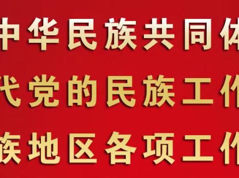 龙驹集团“小手拉大手 美丽县城我参与”融情活动——铸牢中华民族共同体意识