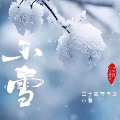 【小雪至  冬始俏】——三门峡市一小四四班小雪节气主题实践活动