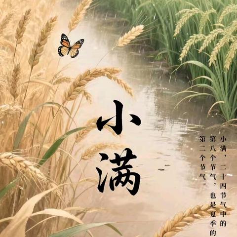 风吹麦浪，小满迎夏——小四班小满节气主题活动