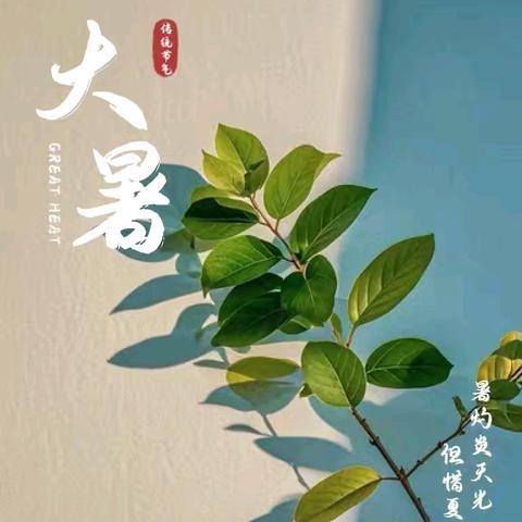 大暑至，万物荣华——小四班大暑节气主题活动