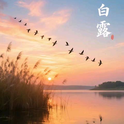 白露至，秋意浓——中四班白露节气主题活动